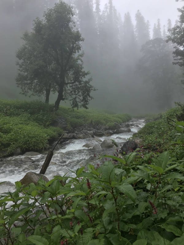 Misty landscape completes a mystical ambience on the hike to Bhrigu Lake.