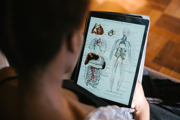 Images of labeled anatomy body parts on a tablet which is an effective method of retaining information. 